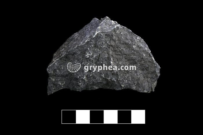 Péridotite - échantillon (Massif du Chenaillet, Alpes) - gryphea.com